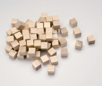 bijtend verstoring Kijkgat Houten blokjes, 15 mm, 72 stuks kopen? | LTC Leiden