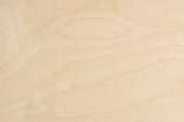 Berken triplex, BB, 4mm, 50x50cm kopen?
