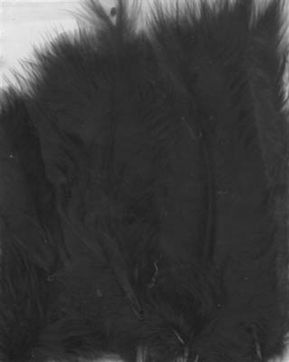 Marabou donsveren, 10-12 cm, 15 stuks, zwart kopen?