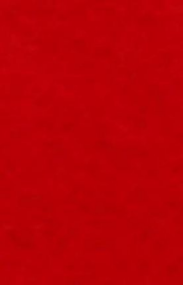 Applicatievilt/handwerkvilt, 250 gr, 180 cm, rood