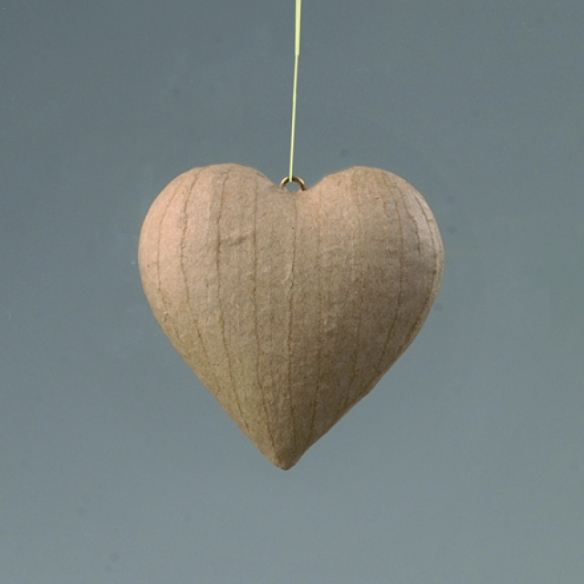 Eco shape hart bolvormig 80mm kopen?