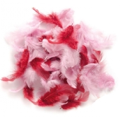 Marabou donsveren, 10-12 cm, 10 gram, rozemix kopen?