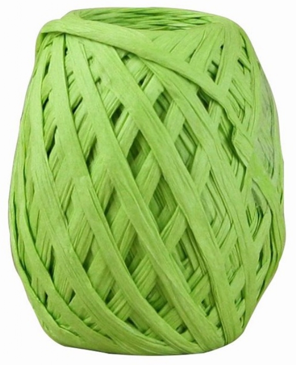 Papier raffia, 5 mm, 50 meter, lentegroen kopen?