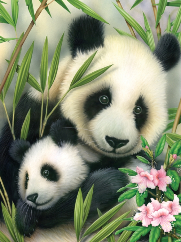 Schilderen op nummer 22.5 x 30 cm Panda beer kopen?