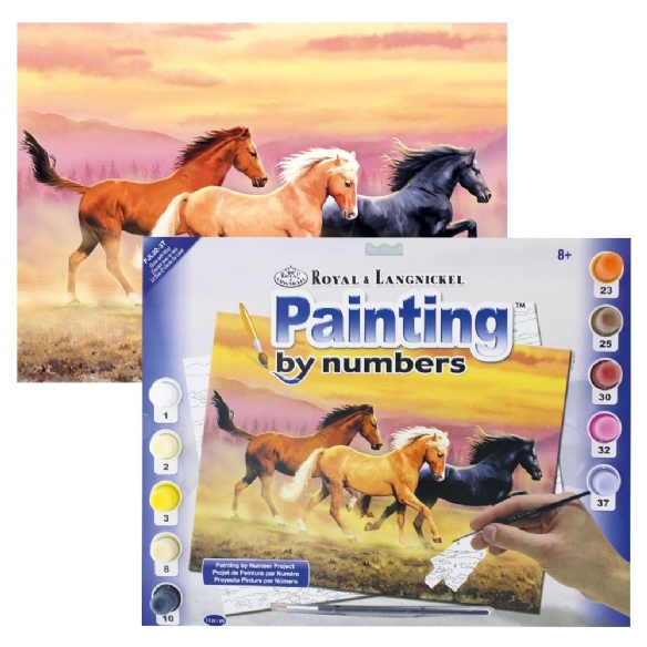 Schilderen op nummer 27.5 x 35 cm Paarden in galop