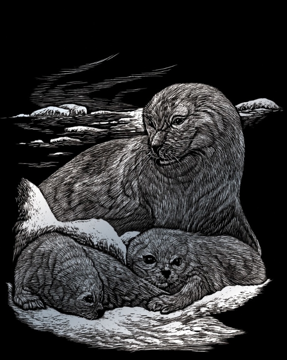 Krasfolie / Kraskaart, 20x25cm, zilver, zeehond en pup kopen?
