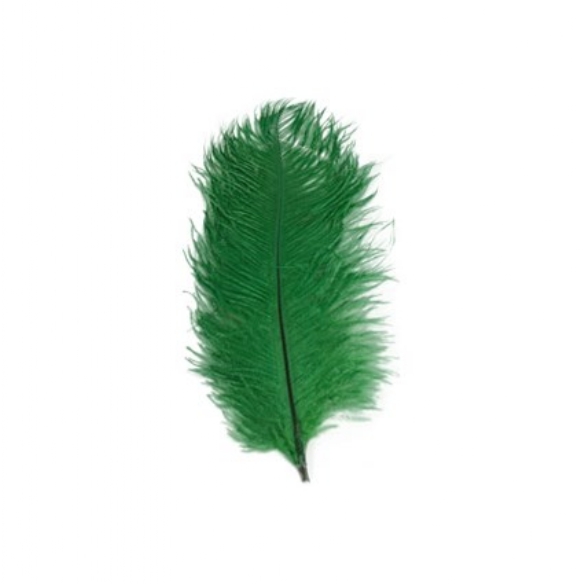 Struisveer / Pietenveer 28 - 30 cm groen kopen?
