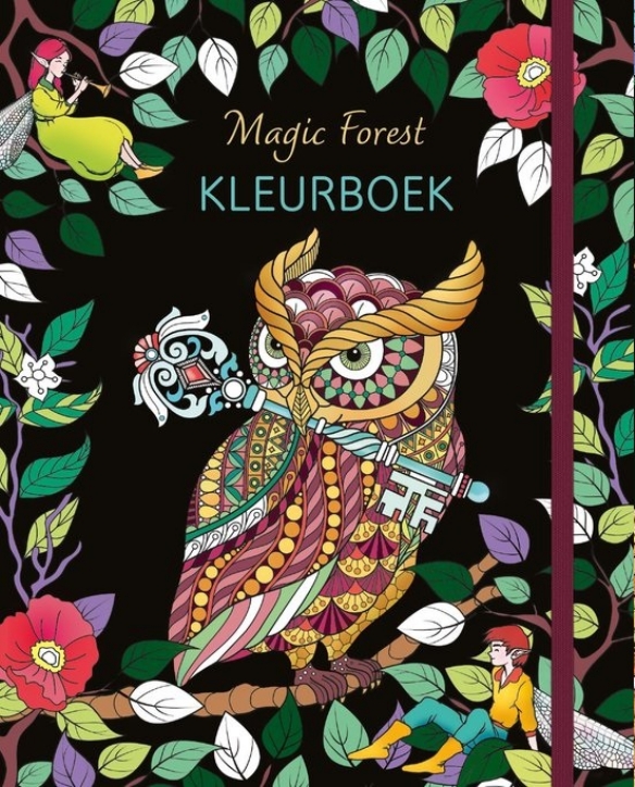 Kleurboek - Magic forest kopen?