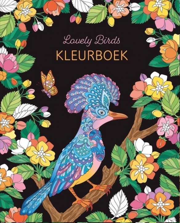 Kleurboek - Lovely birds kopen?