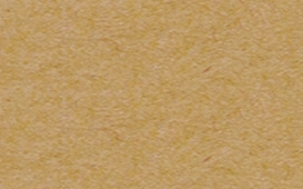 Engels fotokarton 300gr, 50x70cm, 25 vel lichtbruin kopen?