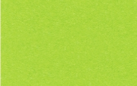 Gekleurd fotokarton, 220gr, A4, 100 vel tropisch groen
