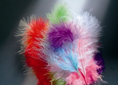 Marabou donsveren, 10-12 cm, 15 stuks, assortiment kopen?