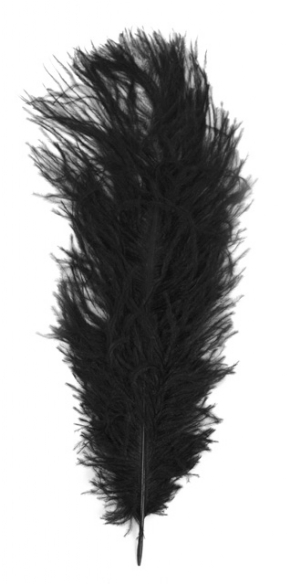 Struisveer / Pietenveer 28 - 30 cm zwart kopen?