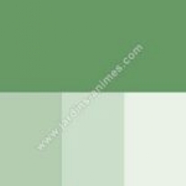 Soapfix kleurstof, 25 gram, groen