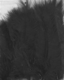 Marabou donsveren, 10-12 cm, 15 stuks, zwart