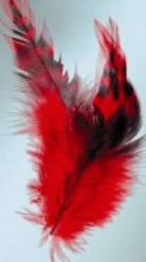 OP=OP Decoveren, 10-12 cm, 15 stuks, rood