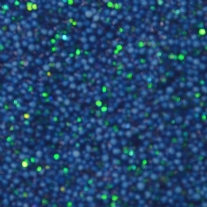 OP=OP Foam klei, 35 gram, glitter-blauw