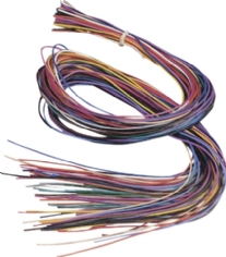 Leerveters, 1 mm, 10 stuks a 1 meter assortiment