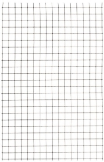 Kippengaas, verzinkt met vierkant maas, 20x30cm, 2 stuks
