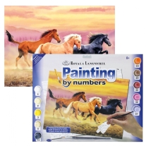 Schilderen op nummer 27.5 x 35 cm Paarden in galop
