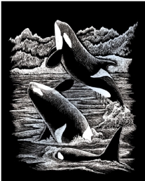 Krasfolie / Kraskaart, 20x25cm, zilver, orka's