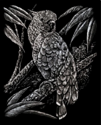 Krasfolie / Kraskaart, 20x25cm, zilver, kakatoe
