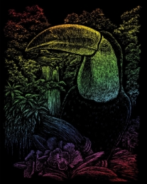 Krasfolie / Kraskaart, 20x25cm, regenboog, toekan