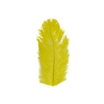 Struisveer / Pietenveer 28 - 30 cm geel