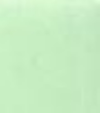 OUTLET Gekleurd karton / papier, 210gr, A4, 5 vel, mintgroen