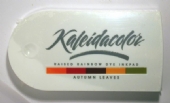 OUTLET Kaleidacolor stempelkussen , herfstbladeren