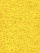 Decopatchpapier A3 3 vel C297