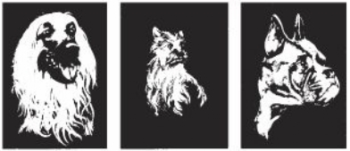 Krasfolie / Kraskaarten,  3 platen, 24x30cm, honden A