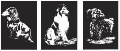 Krasfolie / Kraskaarten, 3 platen, 24x30cm, honden B