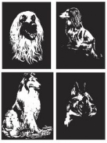 Mini Krasfolie / Kraskaarten, 4 plaatjes, 10x15cm, honden II