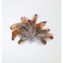 Fazantveren, 10 cm, 2 gram