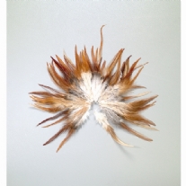 Hanenveren, 4 - 8 cm, 3 gram
