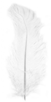 Struisveer / Pietenveer 28 - 30 cm wit