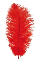 Struisveer / Pietenveer 28 - 30 cm rood