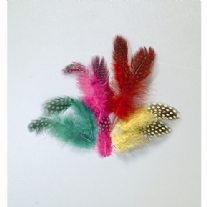Parelhoenveertjes, 4 - 8 cm, 35 stuks, bonte kleuren