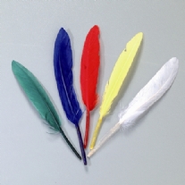 Indianenveren, 12 - 15 cm, assortiment, 20 stuks