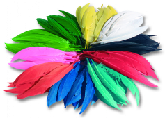 Indianenveren, 10 - 20 cm, assortiment, 100 gram
