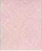 Katoenen biaisband 20mm 20 mtr lichtrose
