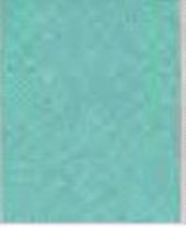 Katoenen biaisband 20mm 20 mtr mint