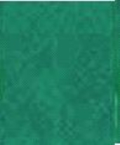 Katoenen biaisband 20mm 20 mtr kerstgroen