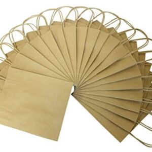 Papieren tasjes 18x21cm 20st naturel