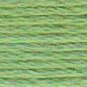 DMC coton perle borduurgaren/koordzijde 116A/8, 80 meter, appelgroen