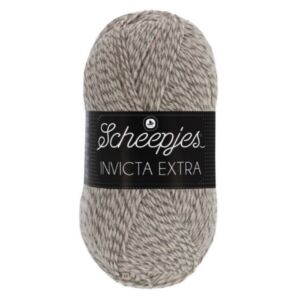 OP=OP Scheepjes Invicta extra sokkenwol, 50 gram, 1460