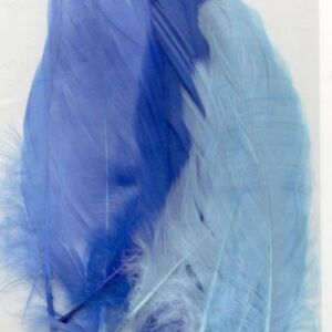 Ganzenveren, 15 st, blauw-mix