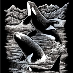 Krasfolie / Kraskaart, 20x25cm, zilver, orka's