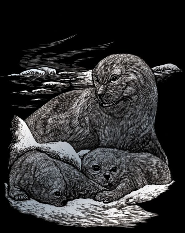 Krasfolie / Kraskaart, 20x25cm, zilver, zeehond en pup